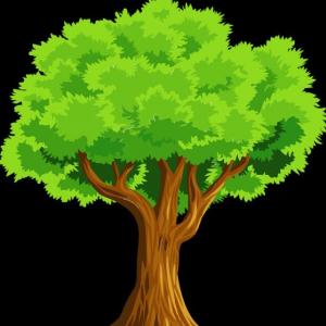 Cuento del árbol mágico