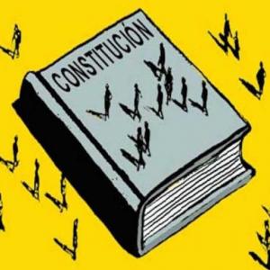 Constitución y Estado de derecho