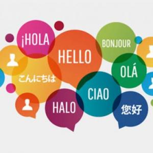 Portada del juego LANGUAGE VOCABULARY – Idiomas