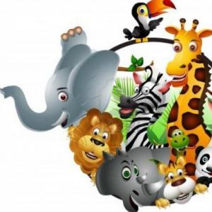 CONOCIENDO EL MUNDO ANIMAL