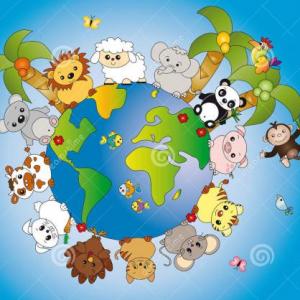 CONOCIENDO EL MUNDO ANIMAL