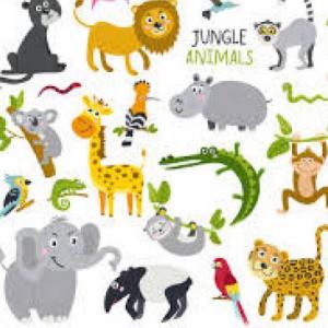 Animales de la selva