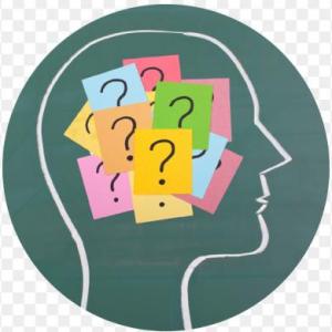 Portada del juego Body Parts Memory Game. – Idiomas