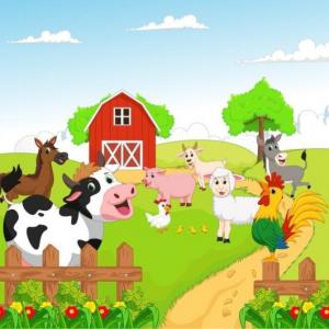 Los animales domésticos