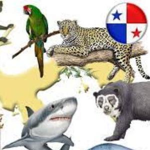 Fauna de Panamá