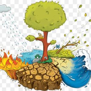 NATURAL DISASTERS