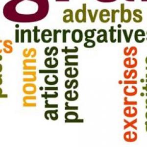 Key Vocabulary and Concepts