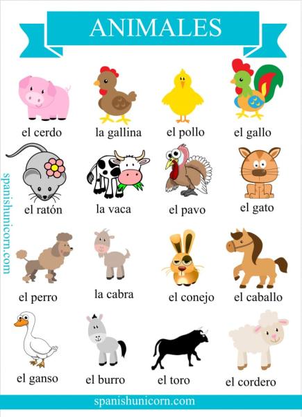 Los animales 
