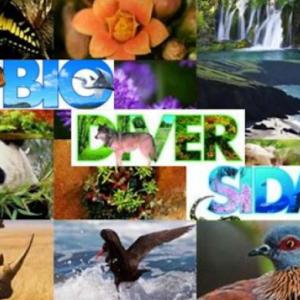 Imagen de portada del videojuego educativo: Biodiversidad, de la temática Viajes y turismo