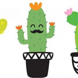 Imagen de portada del videojuego educativo: cuidados de las plantas , de la temática Biología