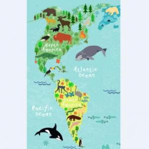 Imagen de portada del videojuego educativo: PAREJAS ANIMALES DE AMÉRICA, de la temática Ciencias