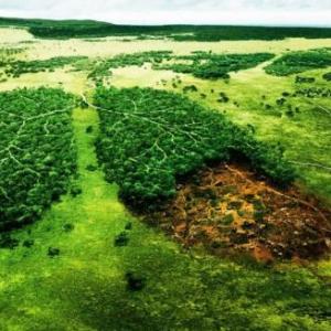 Cambio de los ciclos naturales