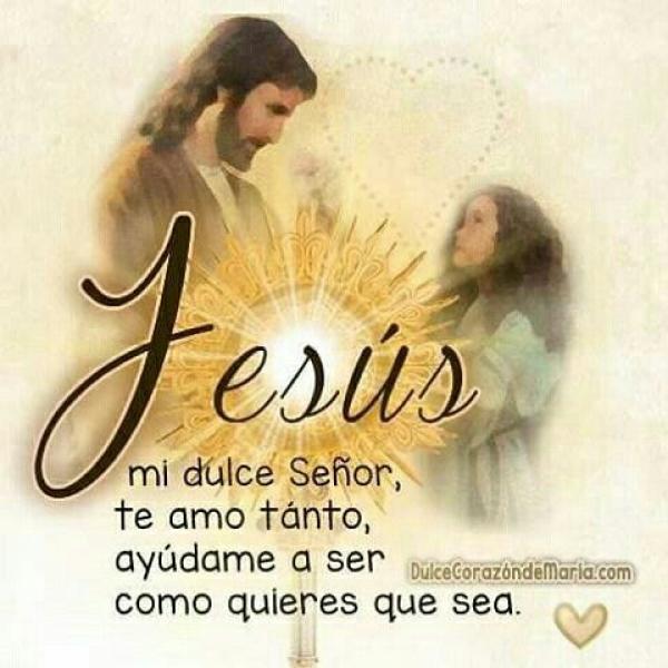 Conociendo a Jesús