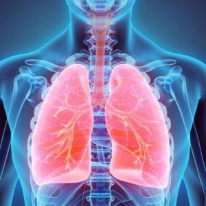 Aparato respiratorio