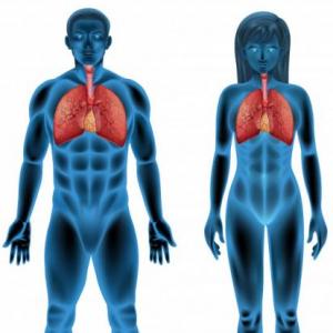 Sistema Respiratorio 