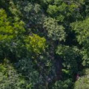 EL PROCESO DE INVASIÓN COLONIZACIÓN Y PRIMERAS SUBLEVACIONES 