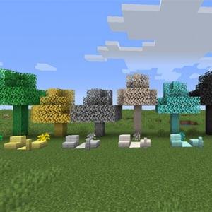 minerales y madera