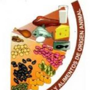 Imagen de portada del videojuego educativo: Alimentos de origen animal, de la temática Biología
