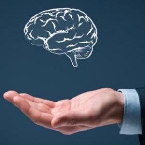 Conozca tu Inteligencia