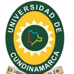 Símbolos de la Universidad de Cundinamarca