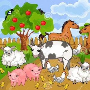 ¿Cuántos animales hay?