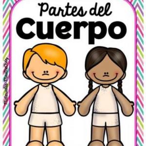 PARTES DEL CUERPO HUMANO