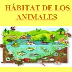 ANIMALES Y SU HÁBITAT