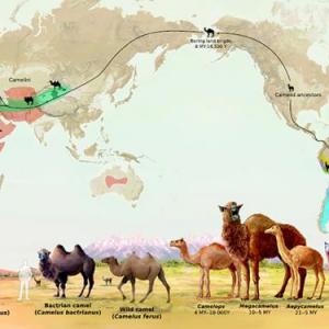 Patrones y tipos de biodiversidad