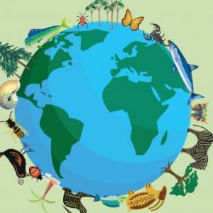Biodiversidad