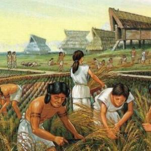 Prehistoria 