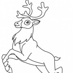 La piel de venado