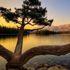 La intervención humana en el paisaje