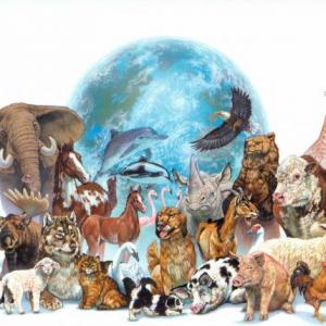 Causas de la extinción de los seres vivos en el mundo actual