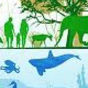 La Biodiversidad 