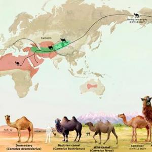 Patrones y tipos de biodiversidad