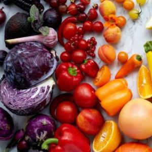 Animales_vegetales_comidas