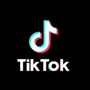 Imagen de portada del videojuego educativo: ADIVINA EL TIKTOKER, de la temática Hobbies