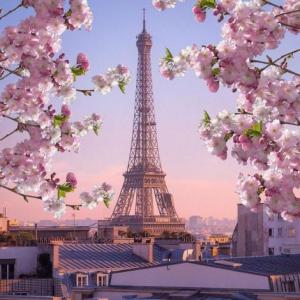 Video activity, Paris France
