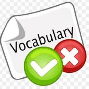 Portada del juego Vocabulary Revision – Idiomas