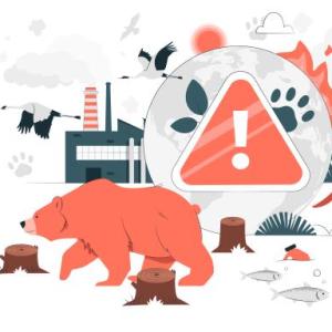 Pérdida de biodiversidad