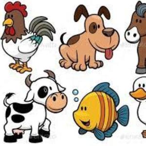 Conociendo los animales vertebrados