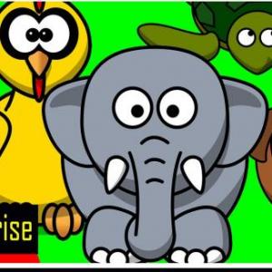 Animales