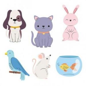 ANIMALS