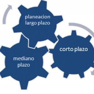 Plantación a largo, mediano y corto plazo. Planeación global y sectorial