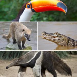 ANIMALES DE LA MESOPOTAMIA