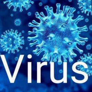 VIRUS