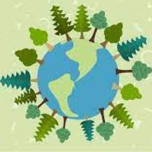Patrones y tipos de biodiversidad.