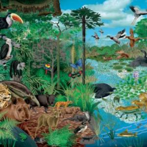 Biodiversidad