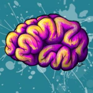 Neuroplasticidad