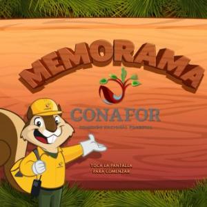 memorama animales de bosque